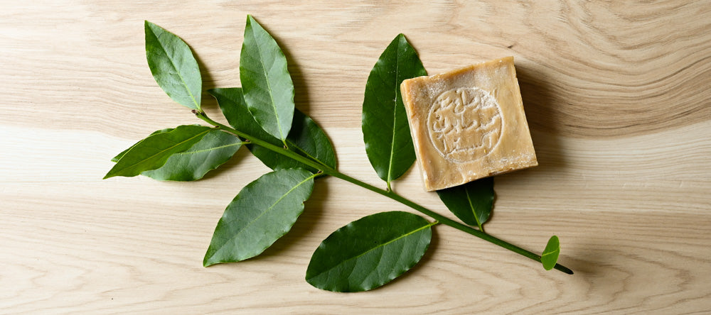 Earth Day Favorites